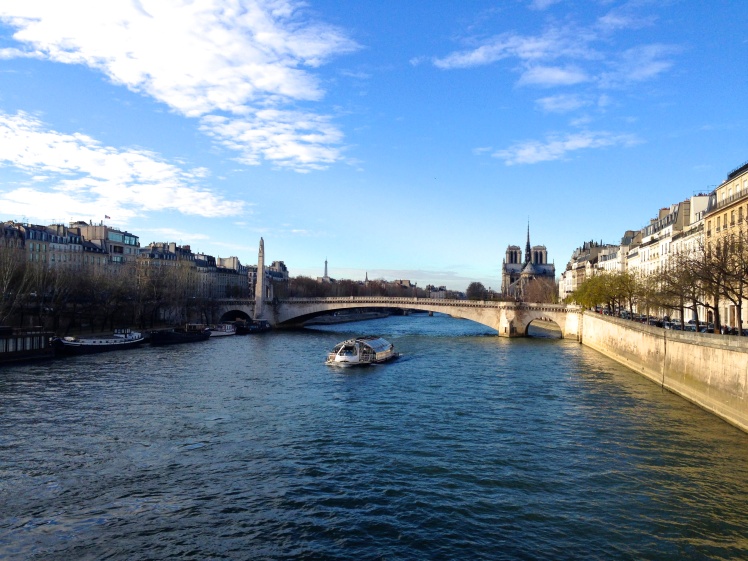 The River Seine and Notre Dame from a distance