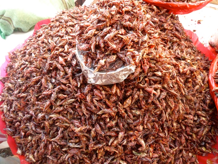 Chapulines in the market